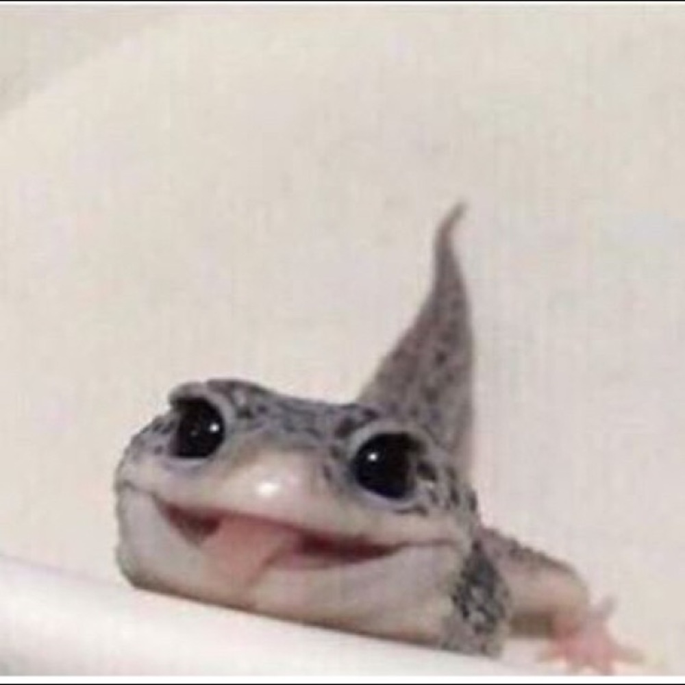 Meet your Posher, Aisha